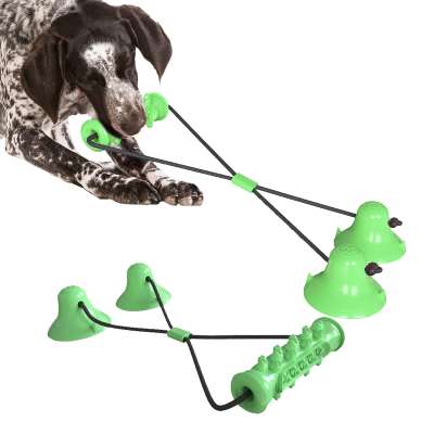 Amazon hot style double suction cup pull leash pet molar grinding stick dog chew toy