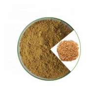 Powder form  Uncaria Gambir extract /uncaria tomentosa extract/Cat's Claw Extract